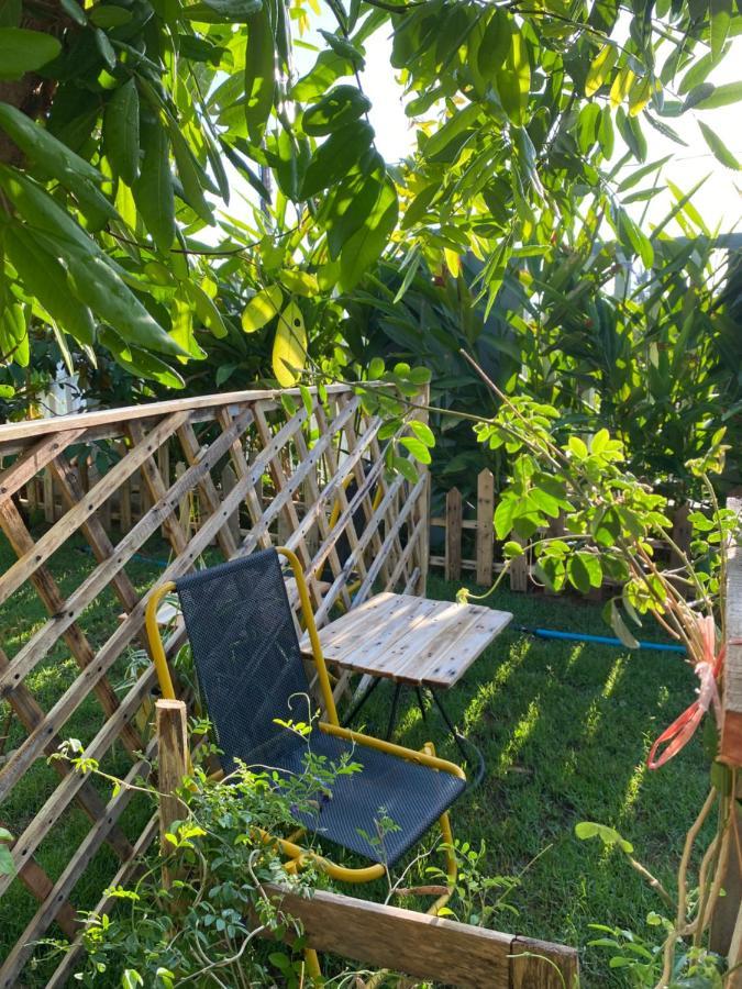 Laoxao Homestay Hoi An Exterior foto